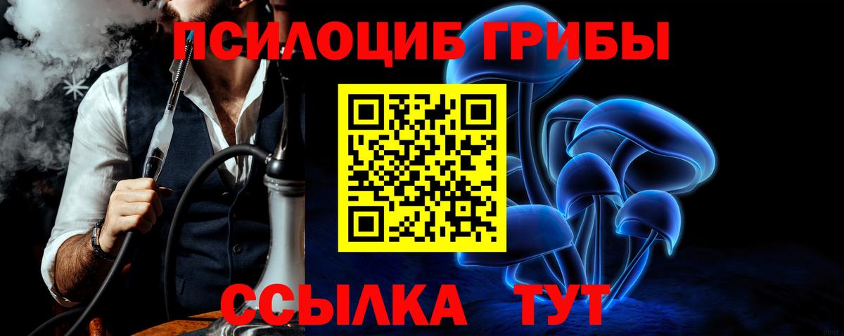Бутурлиновка  Псилоцибиновые грибы GOLDEN TEACHER  Вход с VPN 