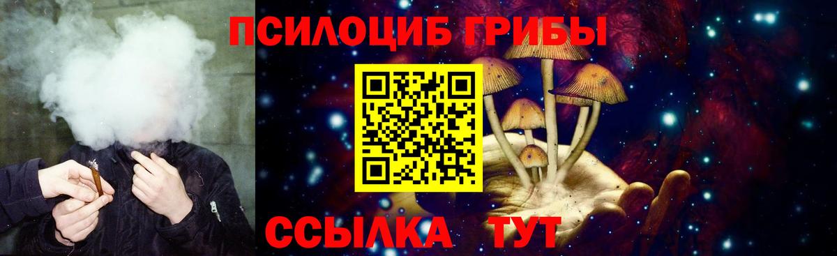 Псилоцибиновые грибы мицелий Бутурлиновка